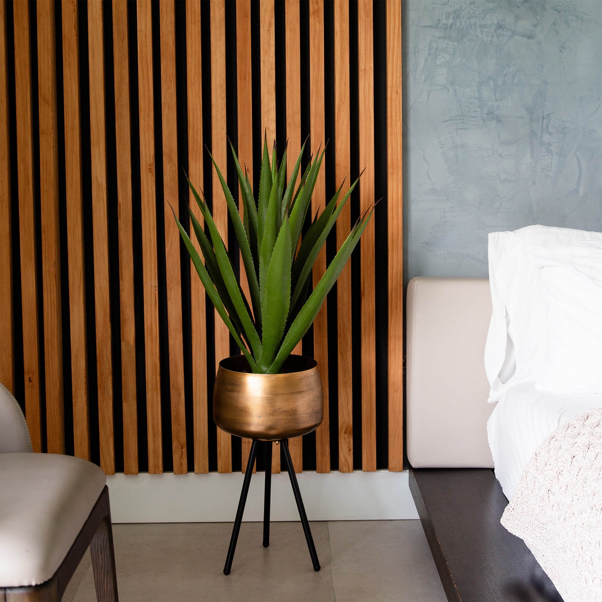 2ft. Agave Plant